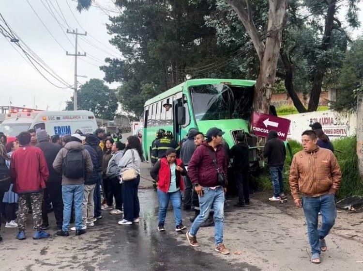 Camión que se dirigía a Xochimilco choca contra un árbol y deja varios heridos