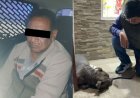 Detienen a sujeto que le sacó un ojo a perrito comunitario en Ecatepec