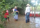 Viviendas continúan inundadas tras desbordamiento del río Papaloapan