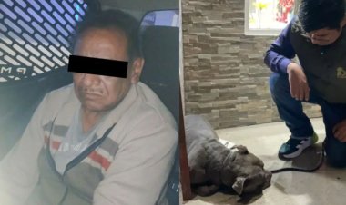 Detienen a sujeto que le sacó un ojo a perrito comunitario en Ecatepec