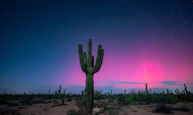 Galería: Impresionantes imágenes de auroras boreales captadas al norte México