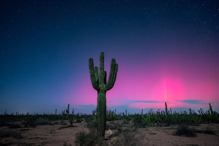 Galería: Impresionantes imágenes de auroras boreales captadas al norte México