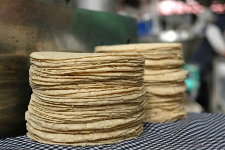 Industria de la tortilla buscará estrategia con gobierno federal para bajar el precio