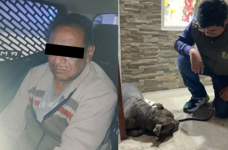 Detienen a sujeto que le sacó un ojo a perrito comunitario en Ecatepec