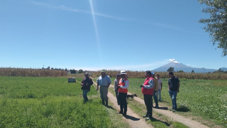 Realizan recorrido para gestión de electrificaciones en Xalmimilulco, Puebla