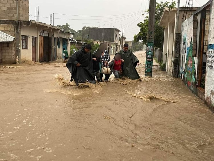 Nadine desborda cinco ríos y afecta al menos 20 municipios en Chiapas; reportan dos muertes en Tila