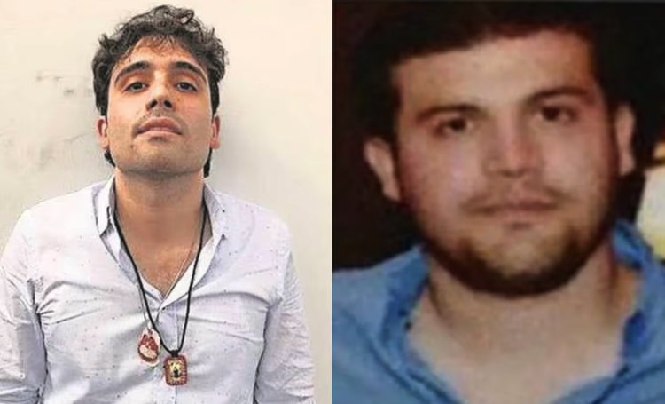 Hijos del “Chapo” Guzmán buscarán acuerdo con autoridades de EEUU