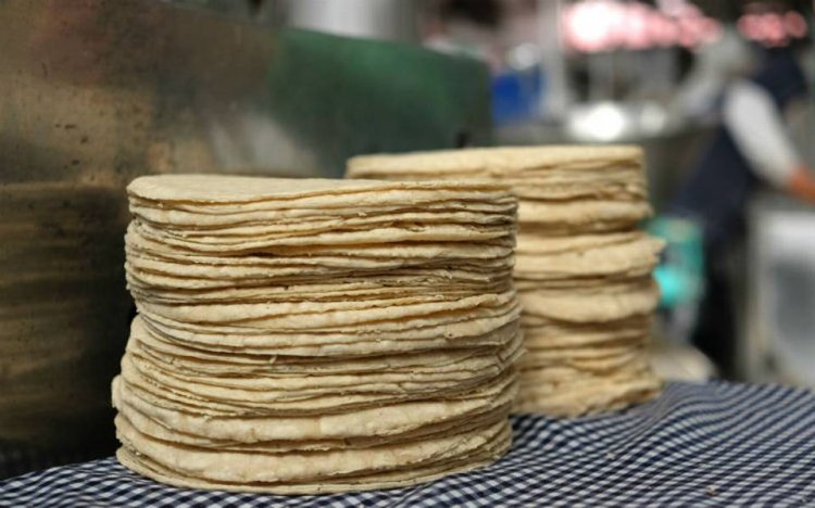 Industria de la tortilla buscará estrategia con gobierno federal para bajar el precio