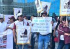 SUTCOBACAM anuncia marcha para el 15 de noviembre en Campeche