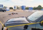 Encuentran cinco muertos frente a Facultad de Agronomía de la UAS en Culiacán, Sinaloa