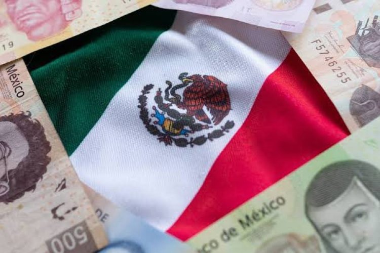 PEF 2025, afectará a estudiantes de universidades públicas en México