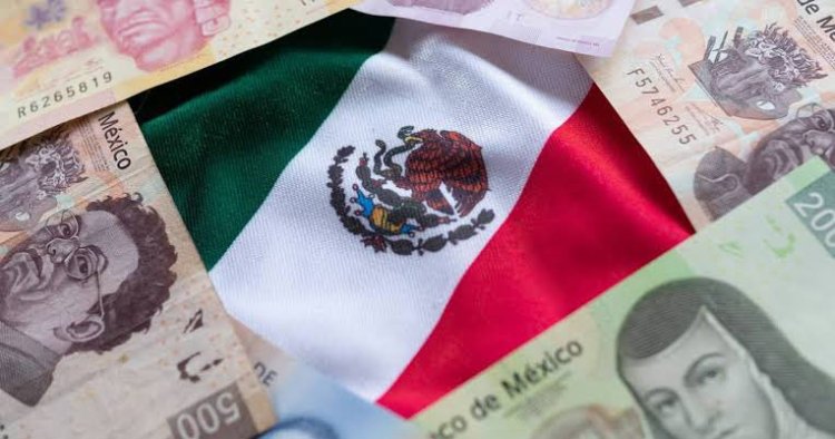 PEF 2025, afectará a estudiantes de universidades públicas en México