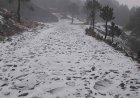 Por neblina e intenso frío cierran acceso al Nevado de Toluca