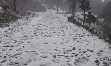 Por neblina e intenso frío cierran acceso al Nevado de Toluca