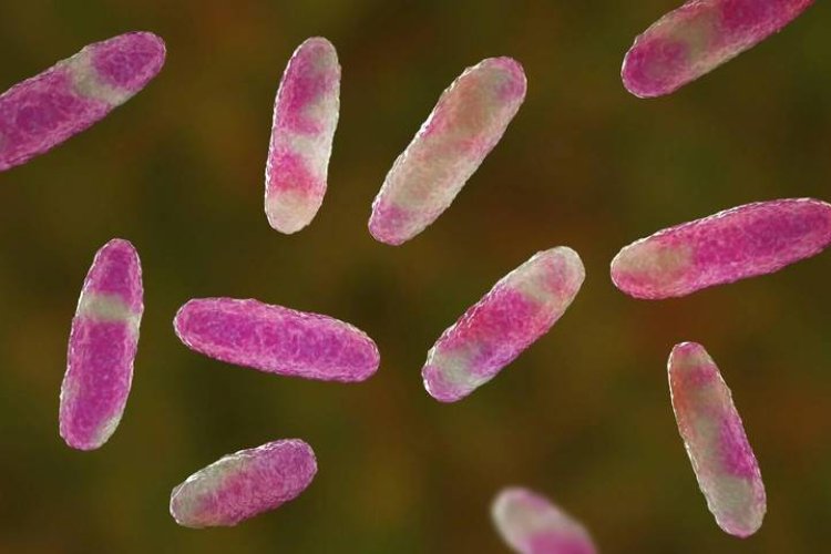 Emiten alerta epidemiológica ante presencia de bacteria en el Estado de México