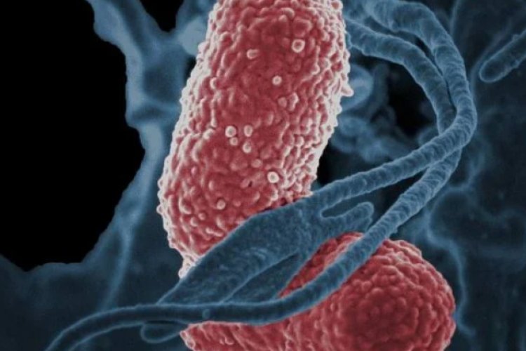 Se confirma que 13 menores fallecidos en hospitales de Edomex son por bacteria klebsiella oxytoca