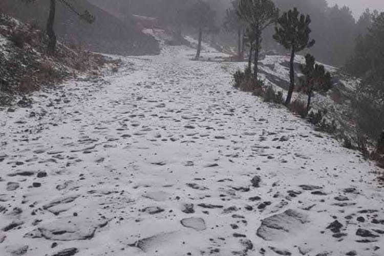 Por neblina e intenso frío cierran acceso al Nevado de Toluca