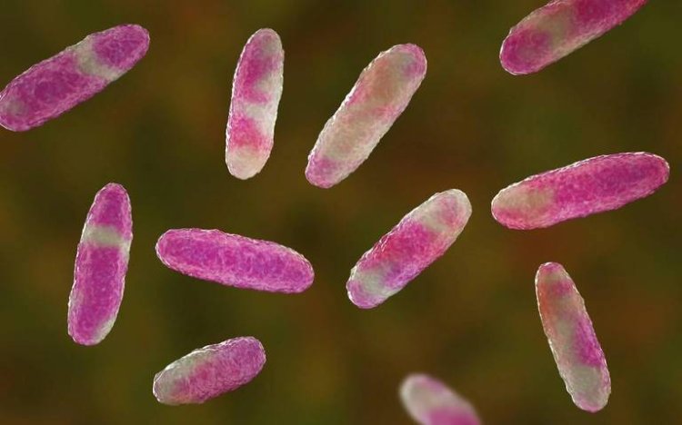 Emiten alerta epidemiológica ante presencia de bacteria en el Estado de México