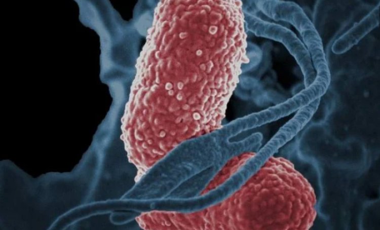 Se confirma que 13 menores fallecidos en hospitales de Edomex son por bacteria klebsiella oxytoca