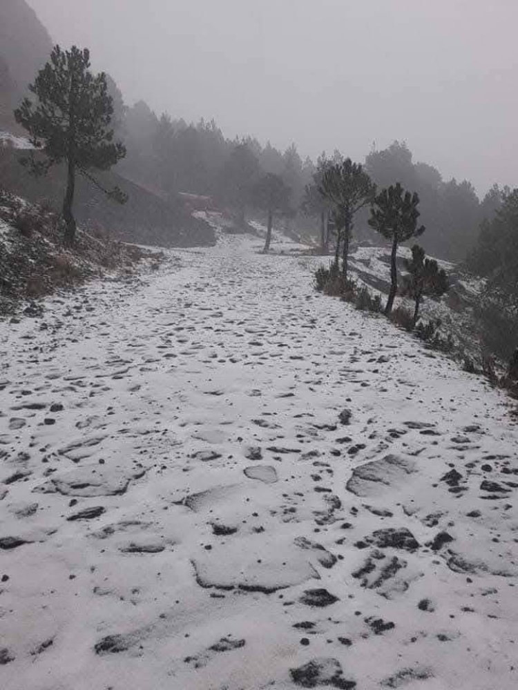 Por neblina e intenso frío cierran acceso al Nevado de Toluca