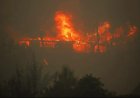 Se agrava situación por incendios forestales en Los Ángeles, California