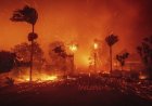 Galeria: Fuertes incendios azotan Los Ángeles California