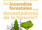 Infografía: Los incendios forestales más devastadores de la historia