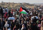 Al menos 300 mil palestinos regresan al norte de la Franja de Gaza