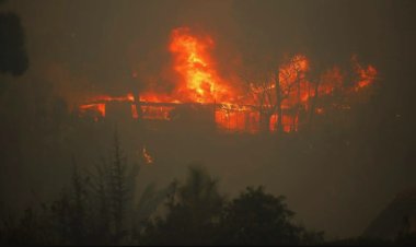 Se agrava situación por incendios forestales en Los Ángeles, California