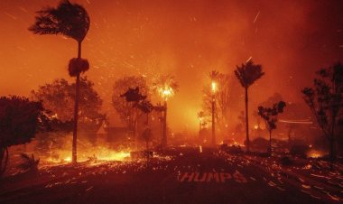 Galeria: Fuertes incendios azotan Los Ángeles California