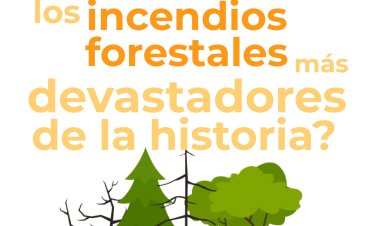 Infografía: Los incendios forestales más devastadores de la historia