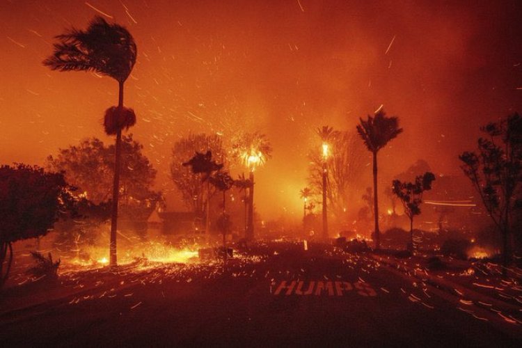 Galeria: Fuertes incendios azotan Los Ángeles California