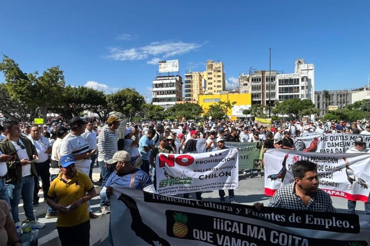 Gobierno de Chiapas cancela actividades relacionadas a palenques de gallos y corridas de caballos.