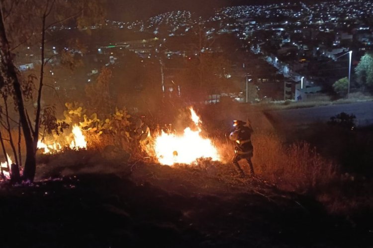 Incendio forestal consume cuatro hectáreas del Cerro de la Bufa en Zacatecas