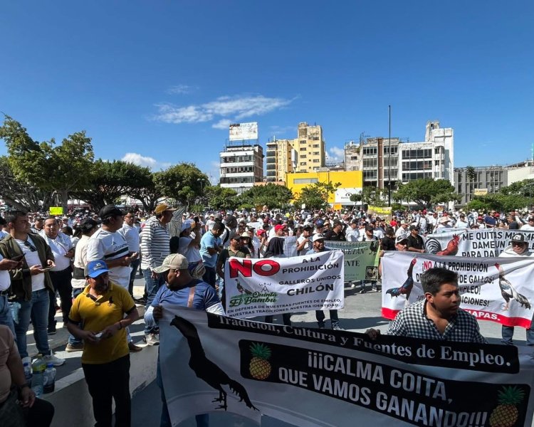 Gobierno de Chiapas cancela actividades relacionadas a palenques de gallos y corridas de caballos.