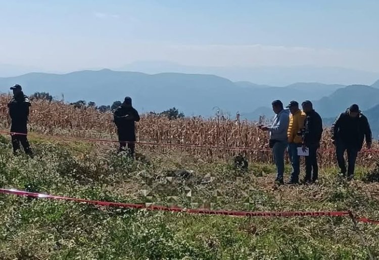 Ejecutan con violencia a hombre y lo abandonan en campos de cultivo en Joquicingo