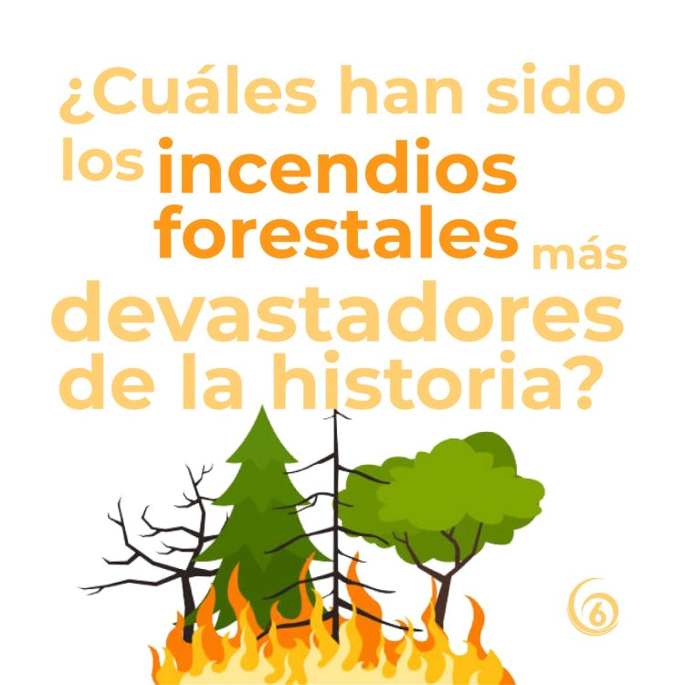 Infografía: Los incendios forestales más devastadores de la historia