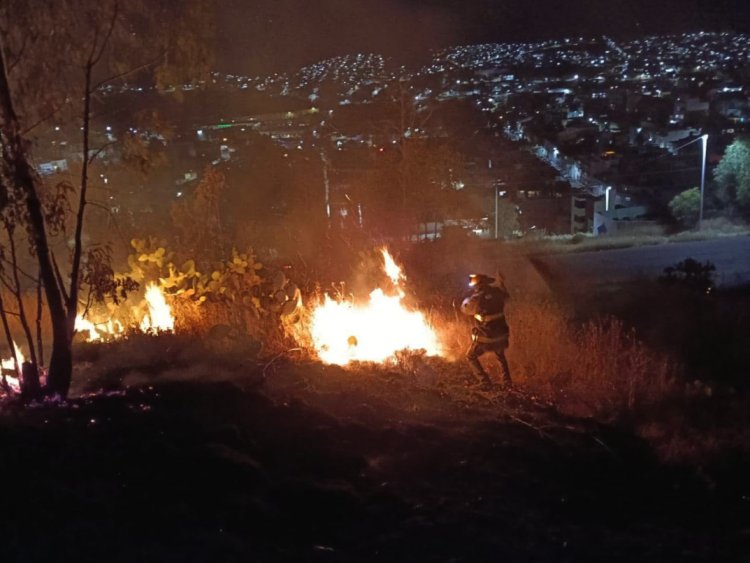 Incendio forestal consume cuatro hectáreas del Cerro de la Bufa en Zacatecas