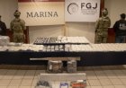 Aseguran más de 22 mil dosis de droga, armas y animales exóticos en operativo de Tamaulipas