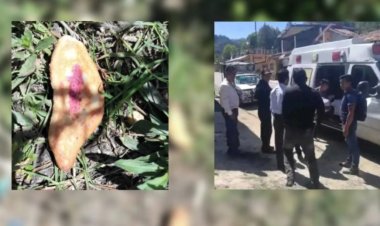 Niños mueren en Chiapas por comer pan envenenado; había sido colocado para perros callejeros