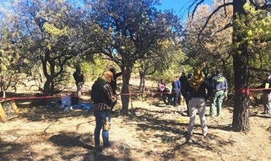 Encuentran fosas clandestinas con más de 80 cadáveres durante detención en Chihuahua