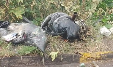 Encuentran restos humanos embolsados en canal de aguas negras de Ecatepec