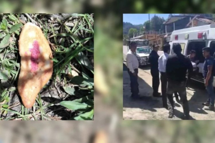 Niños mueren en Chiapas por comer pan envenenado; había sido colocado para perros callejeros