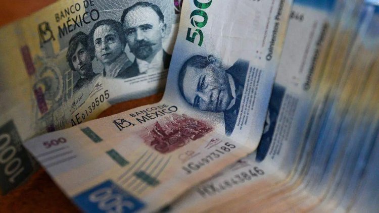 Falsificación de billetes incrementó durante 2024