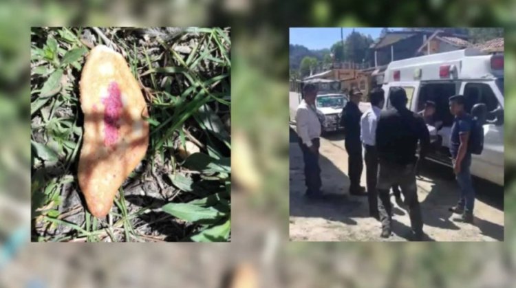 Niños mueren en Chiapas por comer pan envenenado; había sido colocado para perros callejeros