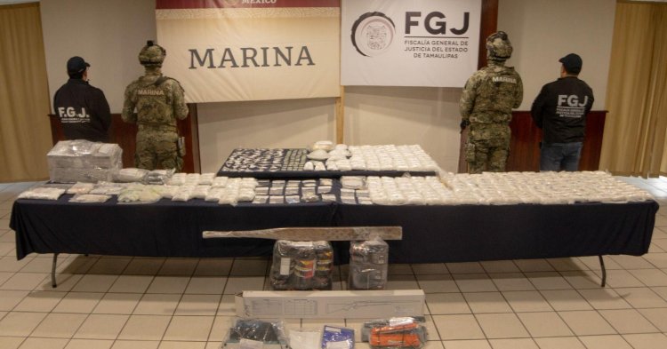 Aseguran más de 22 mil dosis de droga, armas y animales exóticos en operativo de Tamaulipas