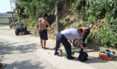 Ataques con explosivos en forma de deja dos heridos en Papantla, Veracruz