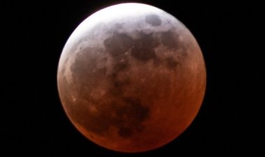 Galería: Así se vio el eclipse de la "luna de sangre" o "luna roja"