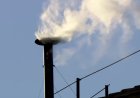 Humo blanco en la Capilla Sixtina anuncia elección de nuevo Papa