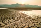 Canícula afectará al país durante 40 días con altas temperaturas